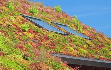 Little Comberton living roof systems